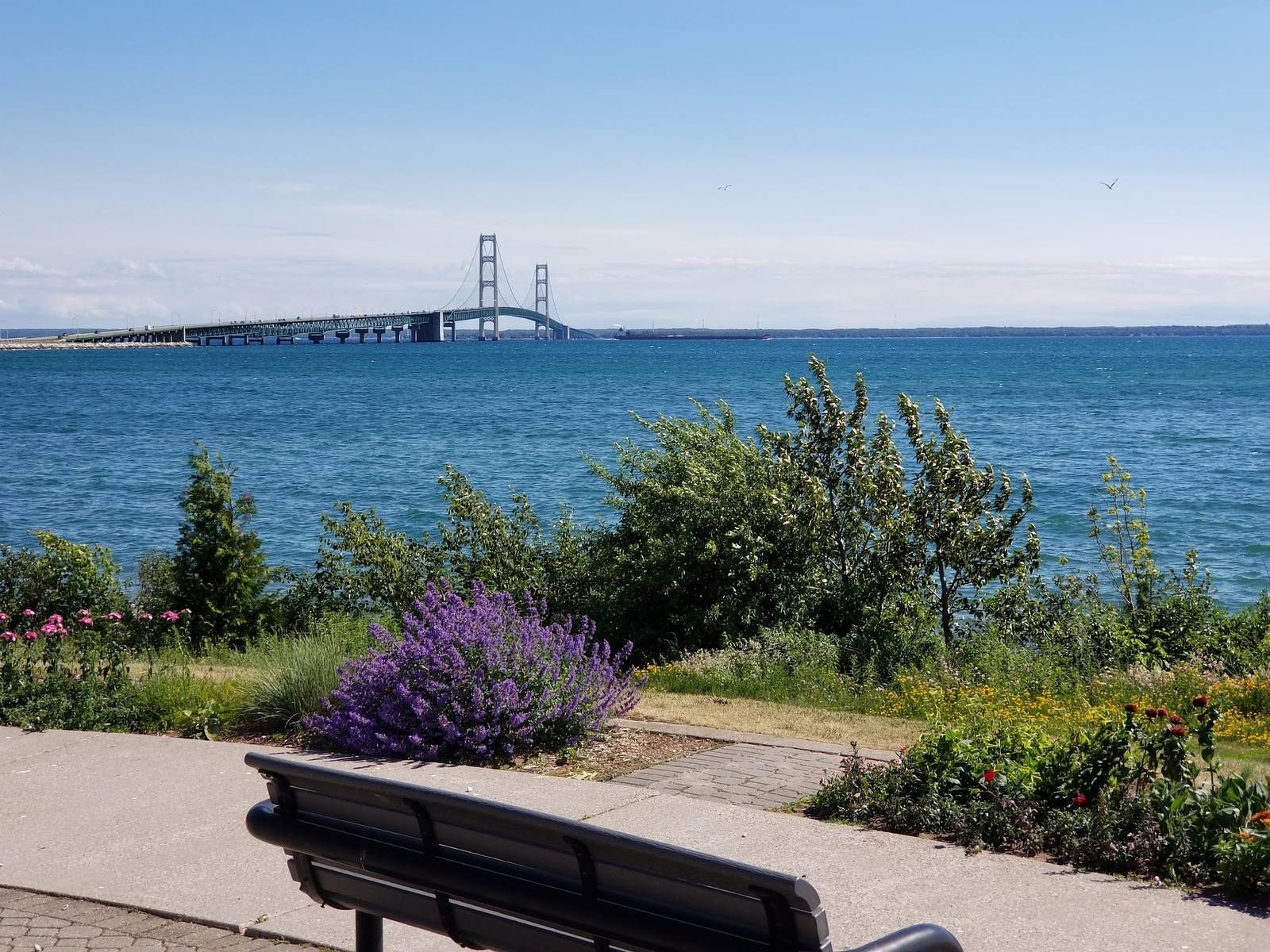 The full span of the Mackinac Bridge across the Straits, seen past benches and gardens at Bridge View Park