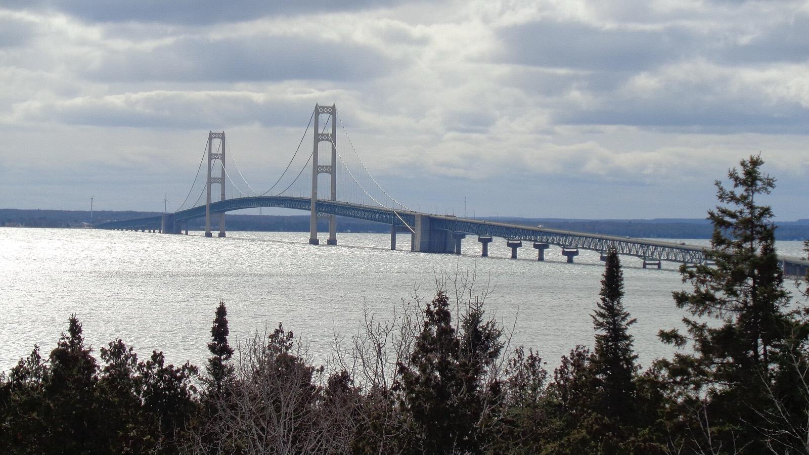 The Mackinac Bridge over silver water, seen through trees from Straits State Park
